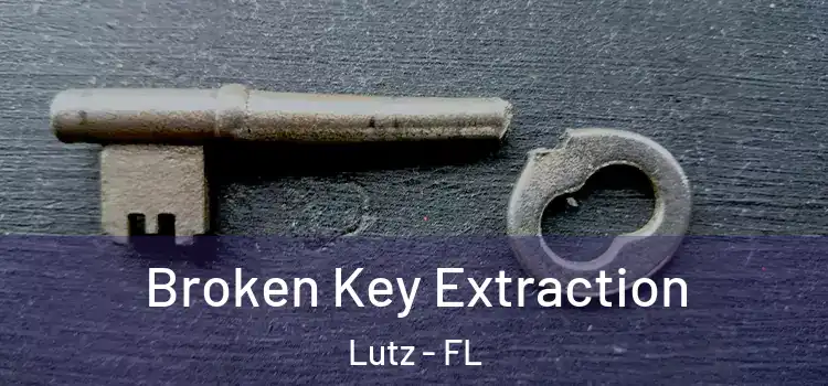 Broken Key Extraction Lutz - FL