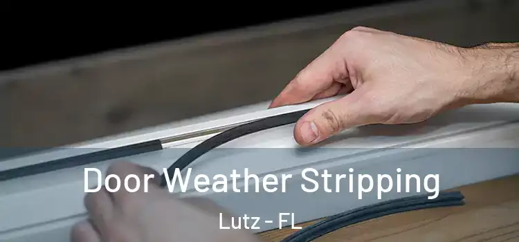 Door Weather Stripping Lutz - FL