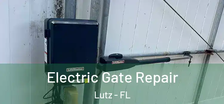 Electric Gate Repair Lutz - FL