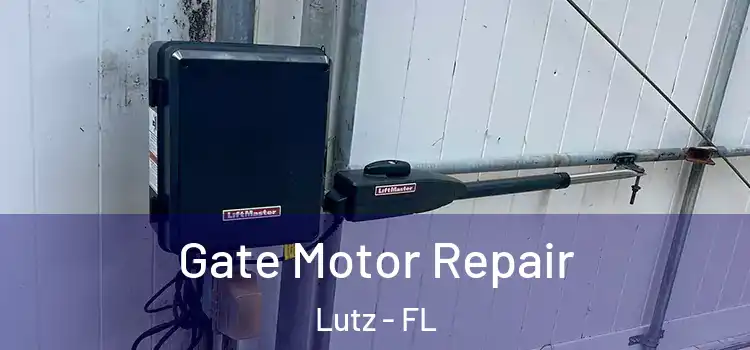 Gate Motor Repair Lutz - FL