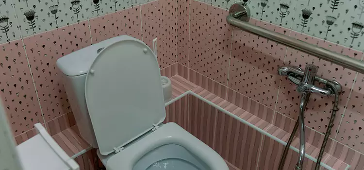 Meeting Diverse Needs With Accessible Restroom Solutions in Lutz, FL