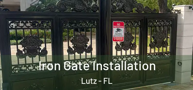 Iron Gate Installation Lutz - FL