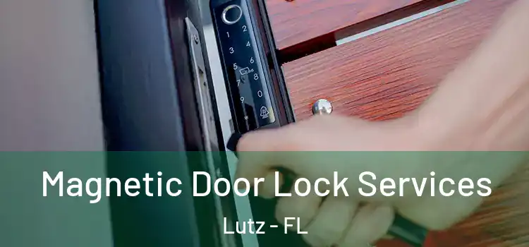 Magnetic Door Lock Services Lutz - FL
