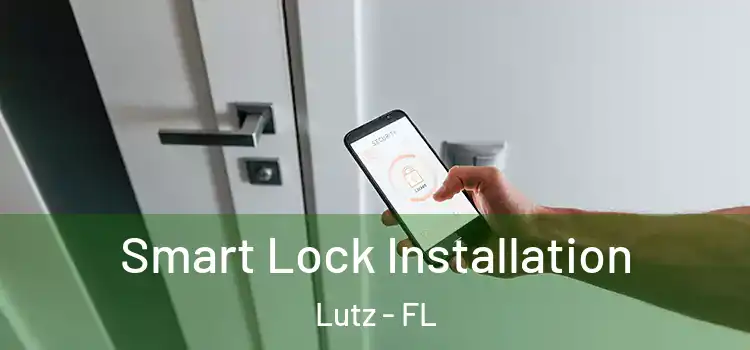 Smart Lock Installation Lutz - FL